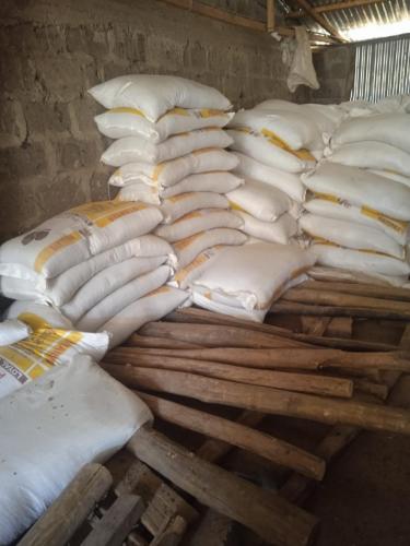 Day Old Chicks Gallery