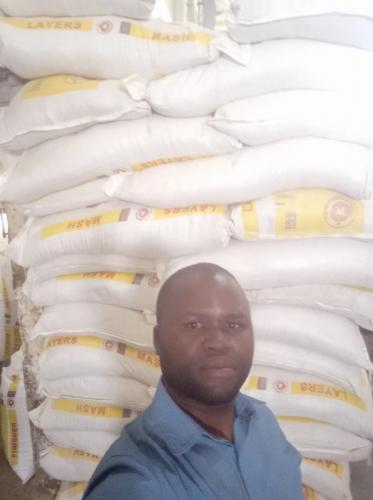 Day Old Chicks Gallery