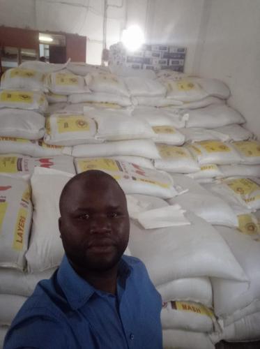 Day Old Chicks Gallery